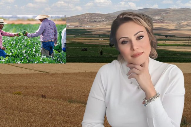 Ekonomi Sadece Rakam Değil, Bazen Bir Bölgenin Hikâyesidir