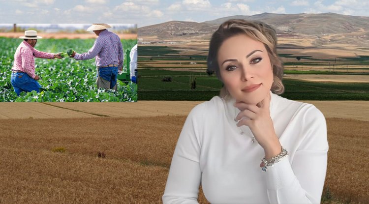 Ekonomi Sadece Rakam Değil, Bazen Bir Bölgenin Hikâyesidir